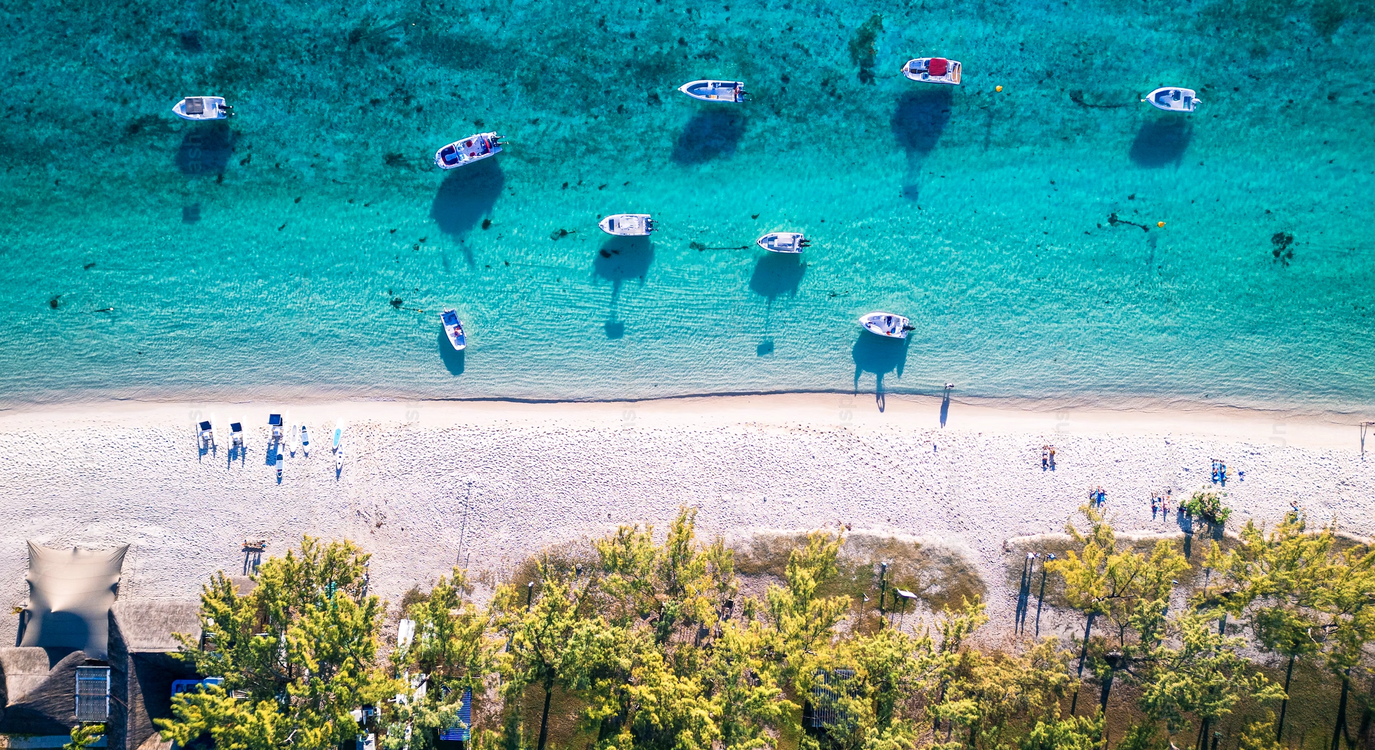 Tropical Paradise